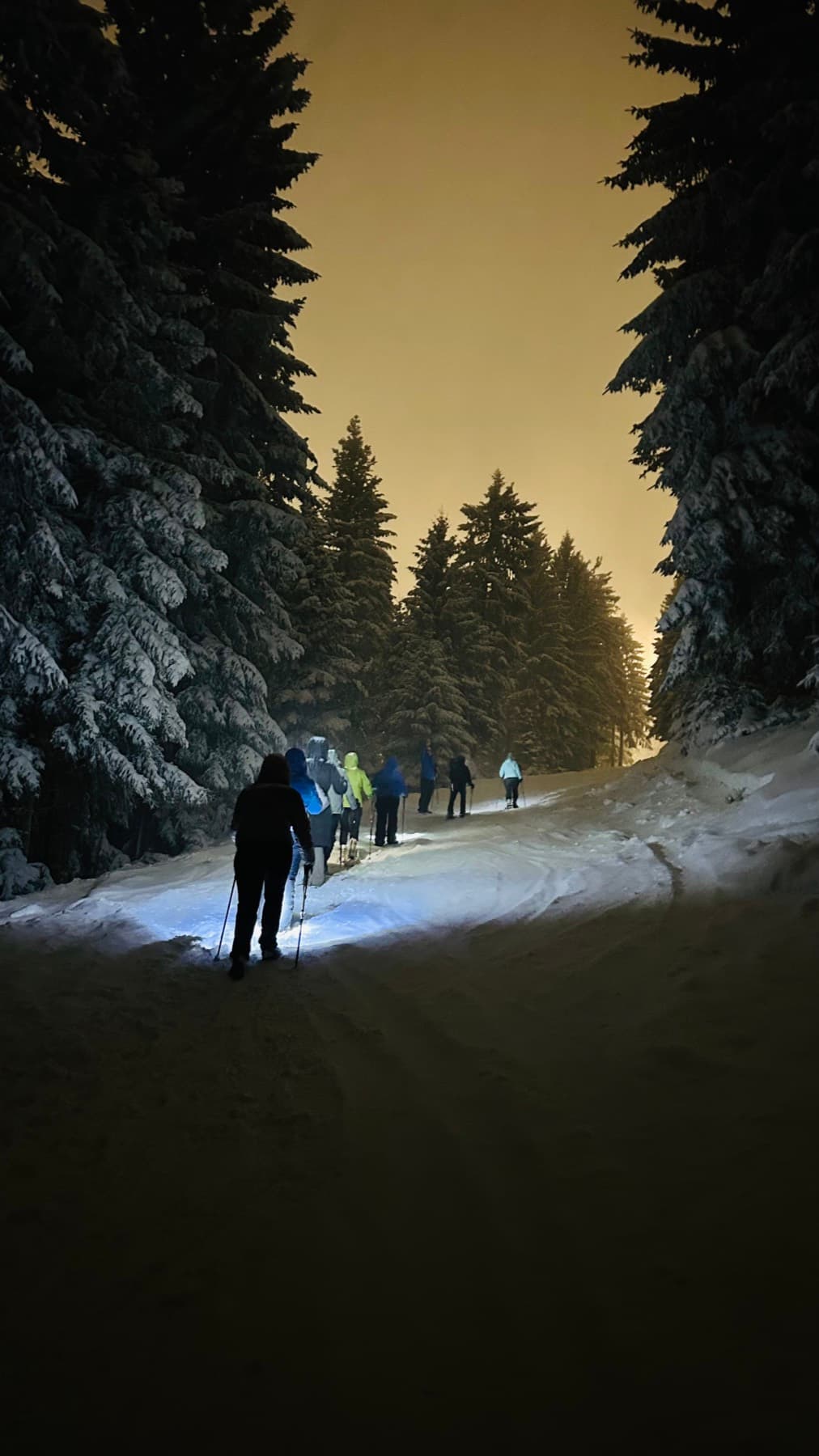 Nachtwanderung mit Stirnlampen vor goldenem Abendhimmel im Schwarzwald